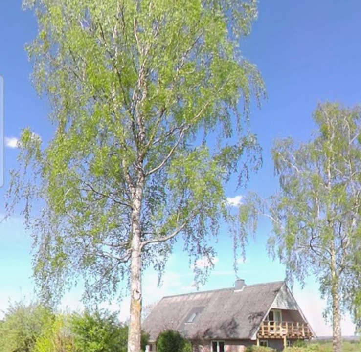 Photo of Others in Skanderborg