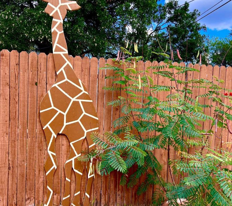 Photo of Others in West San Antonio