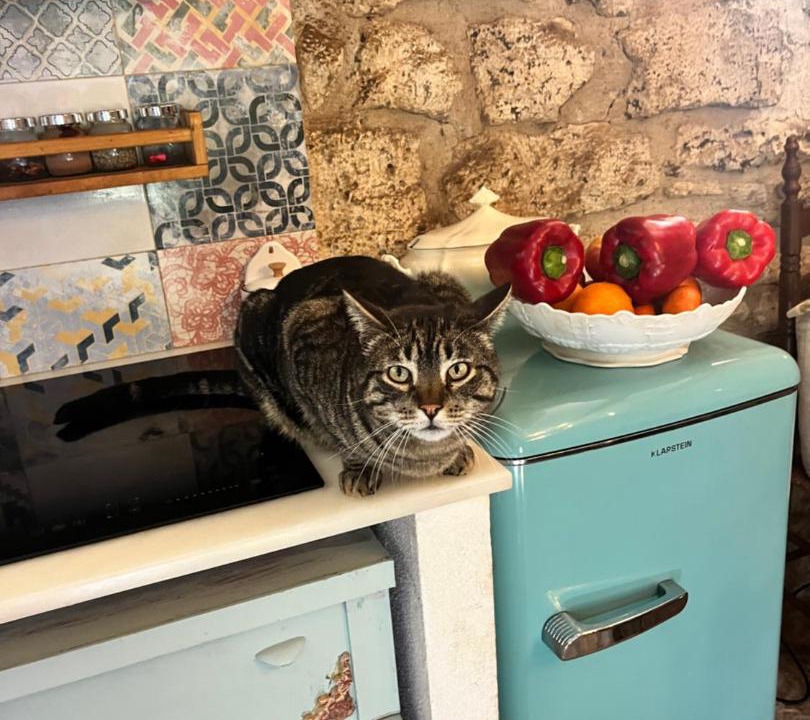 Photo of Kitchen in Montblanc