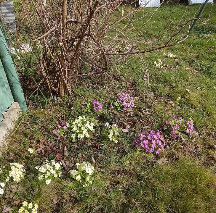 Photo of Others in Villiers-en-Desœuvre