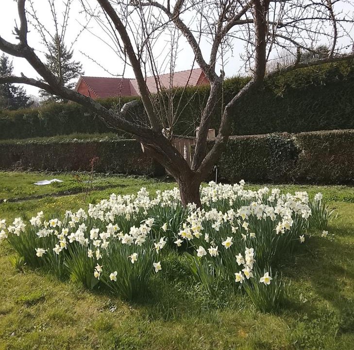Photo of Outdoor in Villiers-en-Desœuvre
