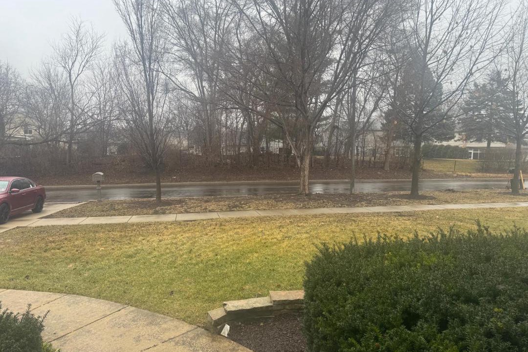 Photo of Others in Carol Stream