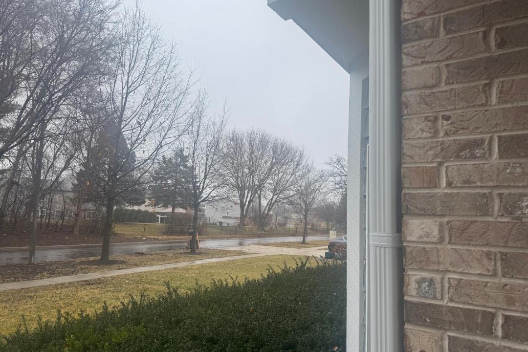 Photo of Others in Carol Stream