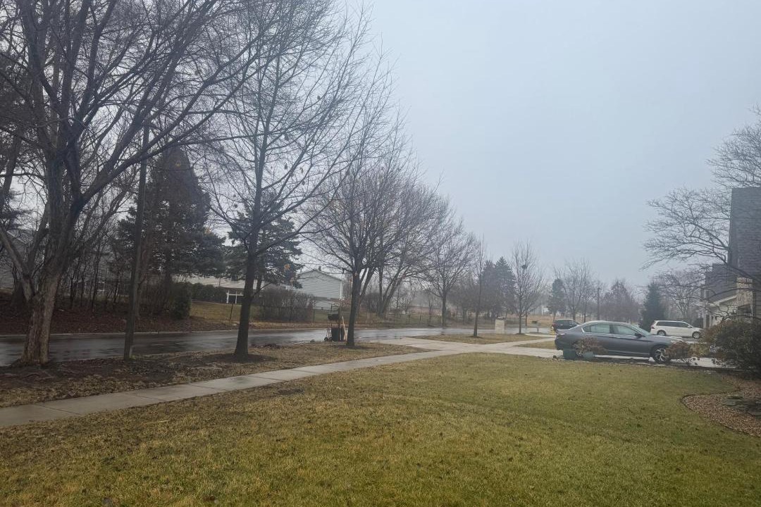 Photo of Others in Carol Stream