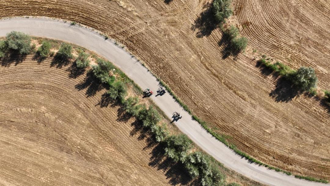 Photo of Human In Picture in Ponts