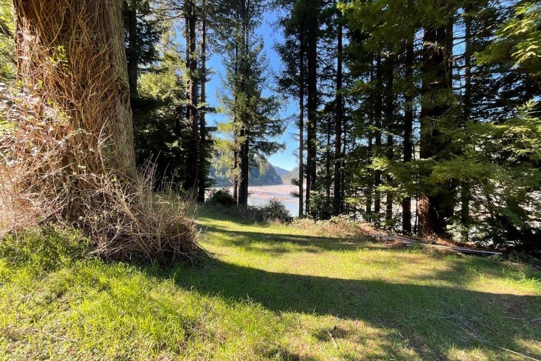 Photo of Others in Myers Flat