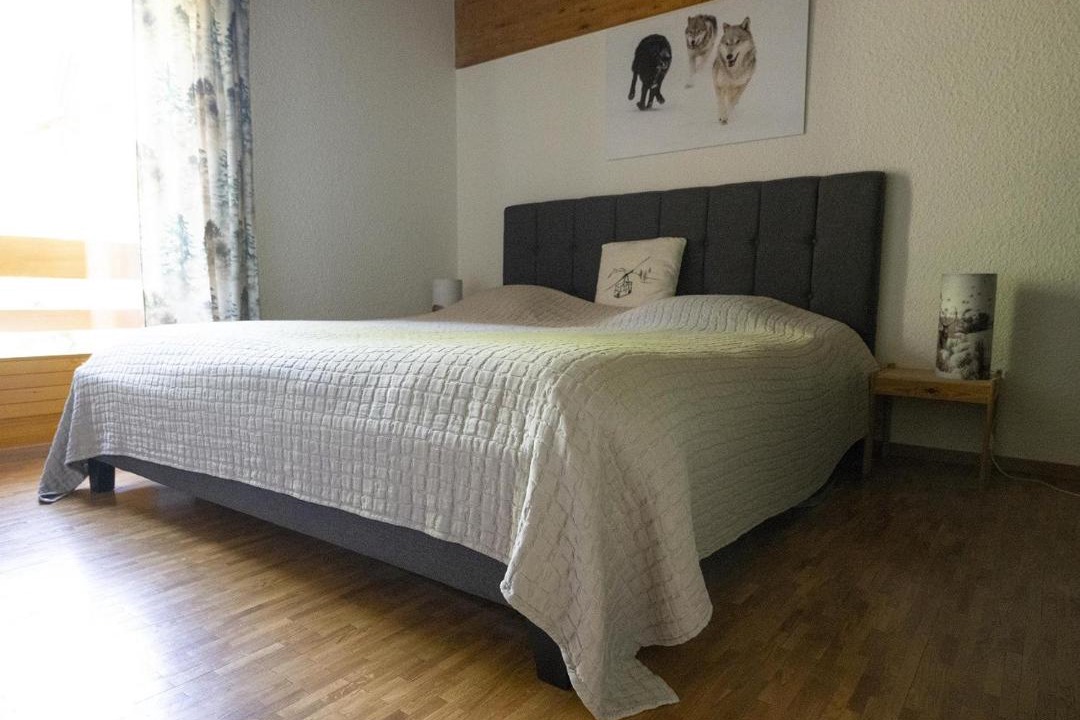 Photo of Bedroom in Anzere