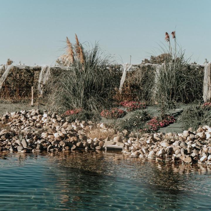 Photo of Others in Albias