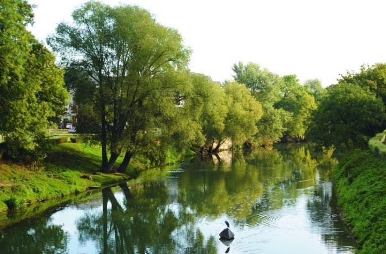 Photo of Others in Maisons-Laffitte