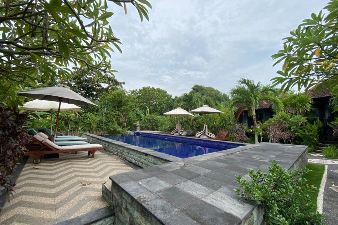 Photo of Others in Mushroom Bay