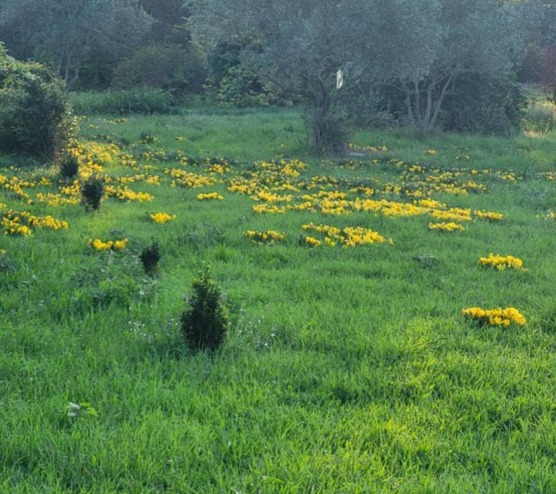 Photo of Others in Serignan-du-Comtat