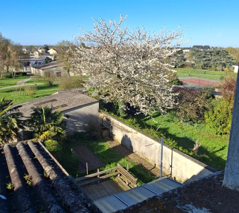 Photo of Others in Saint-Laurent-de-la-Plaine
