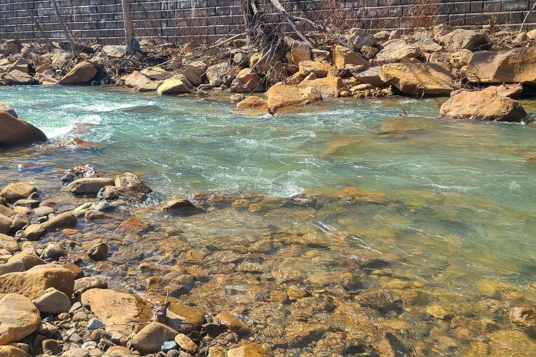 Photo of Others in Westernport