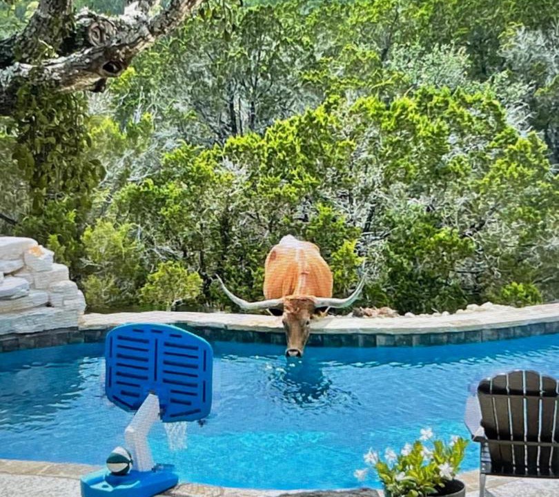Photo of Others in Dripping Springs