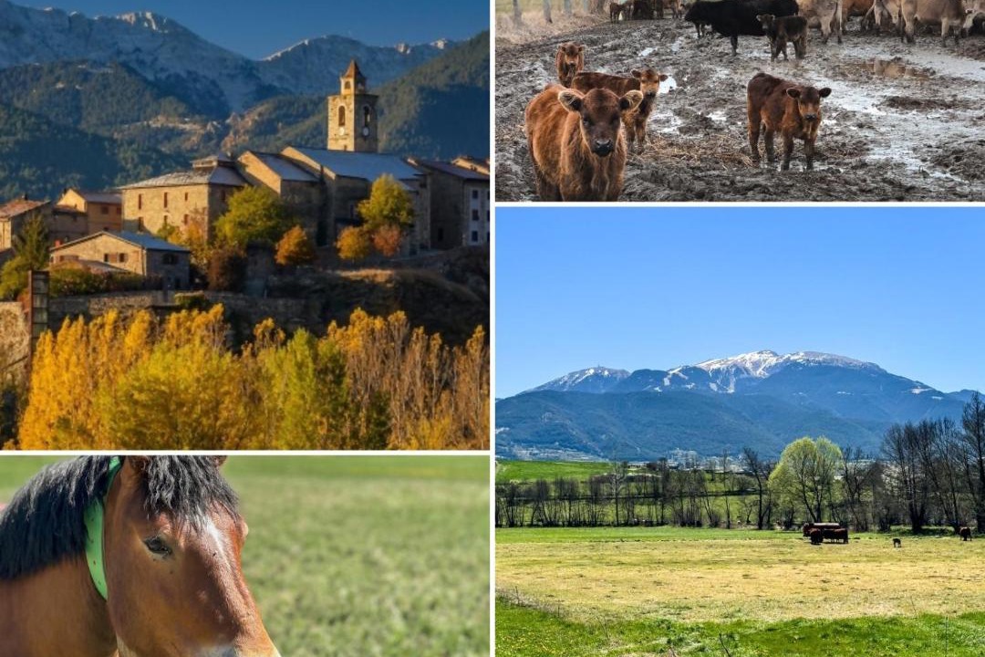 Photo of Others in Bellver de Cerdanya