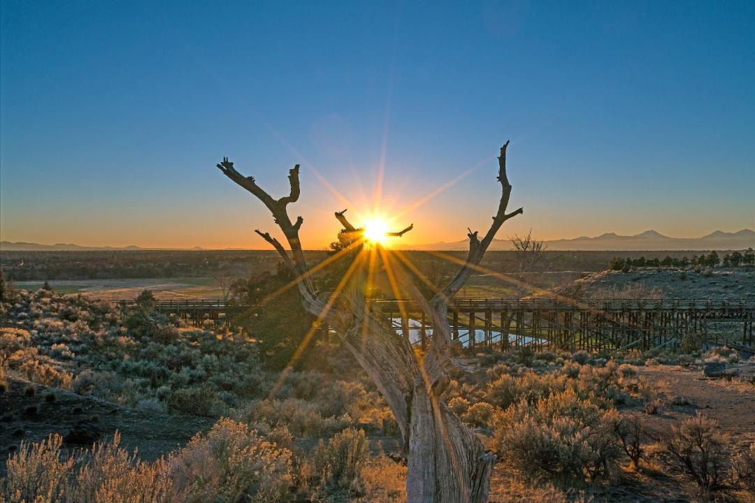 Photo of Others in Powell Butte
