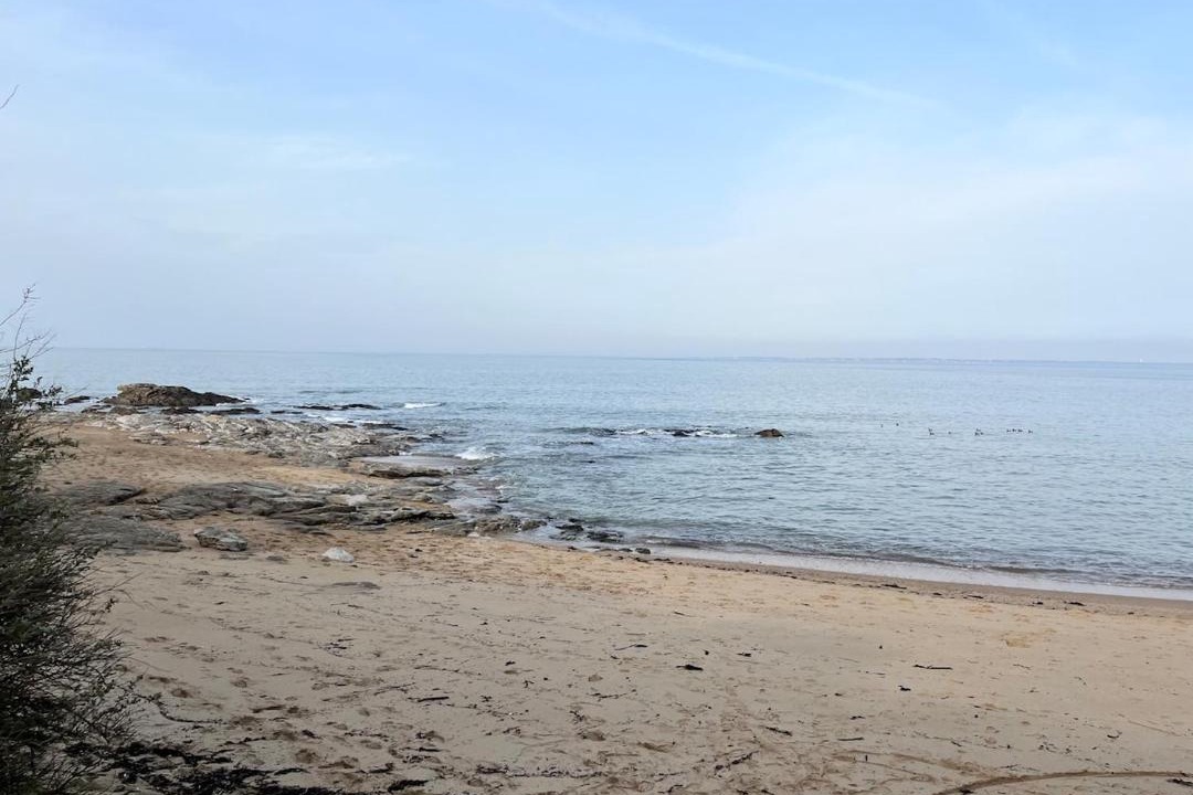 Photo of Others in Noirmoutier-en-l'Ile