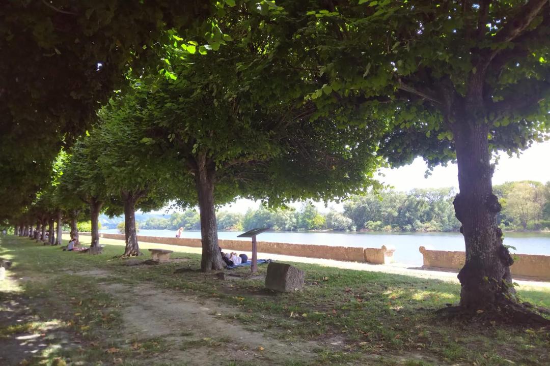 Photo of Others in Bennecourt