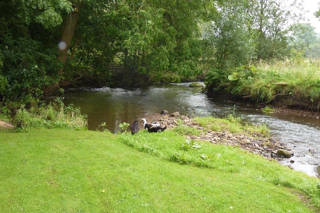 Photo of Others in Leek