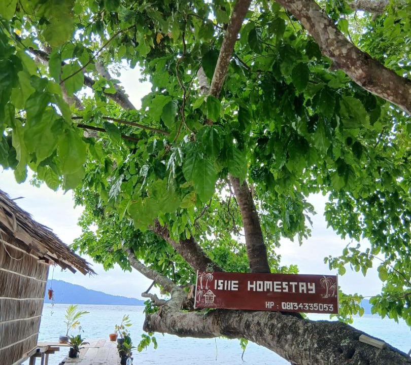 Photo of Others in Raja Ampat