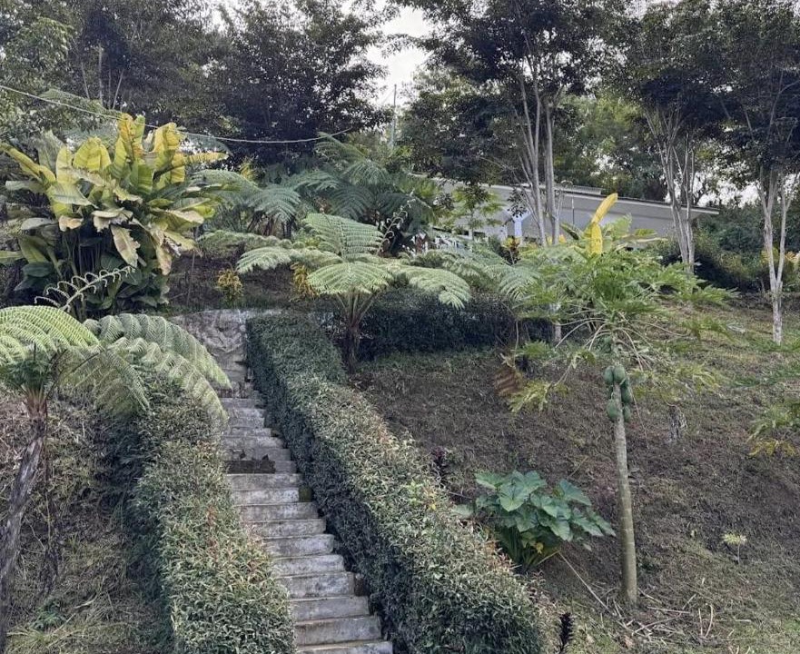 Photo of Outdoor in Moni