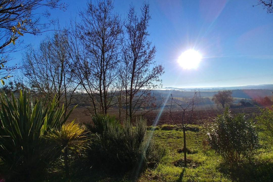 Photo of Others in Montalzat