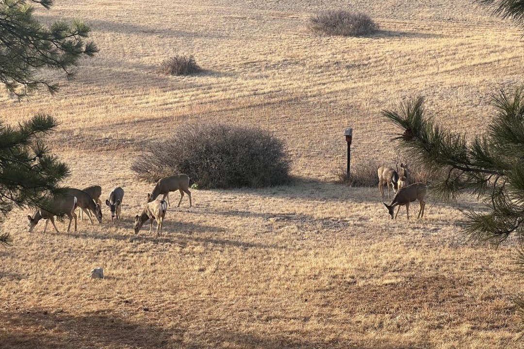 Photo of Others in Parker