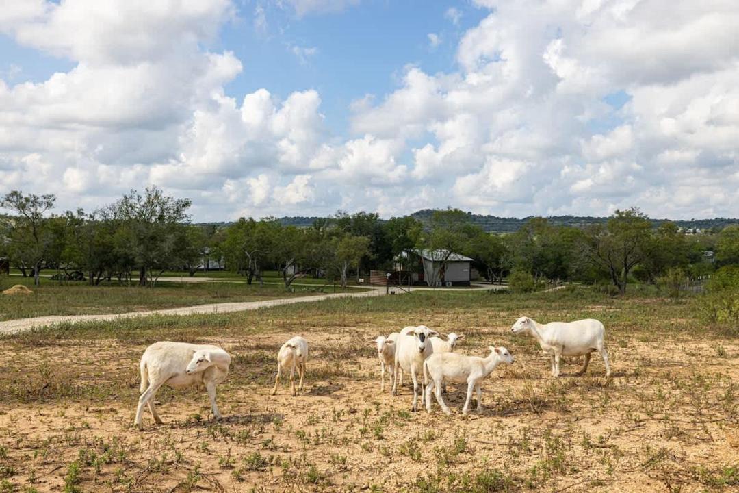 Photo of Others in Fredericksburg