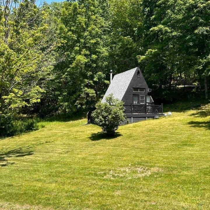 Photo of Others in Hollowville