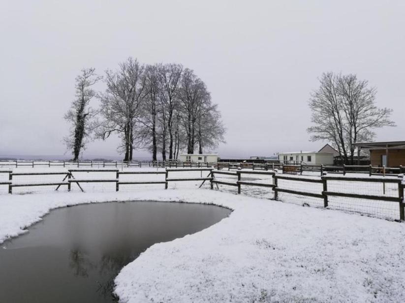 Photo of Others in Le Torp-Mesnil