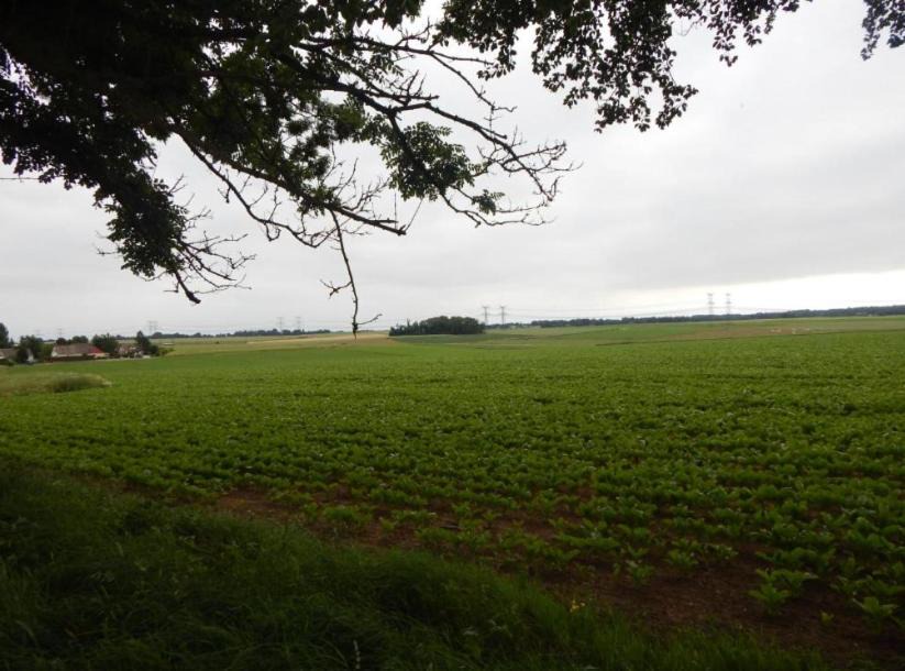 Photo of Others in Le Torp-Mesnil