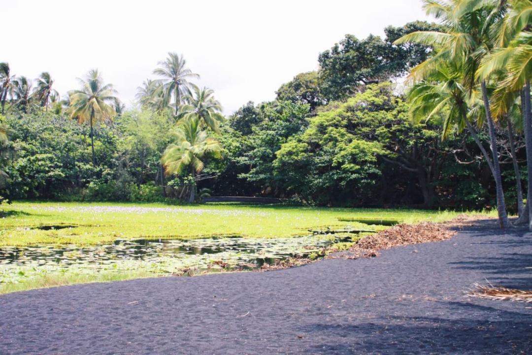 Photo of Others in Punaluu