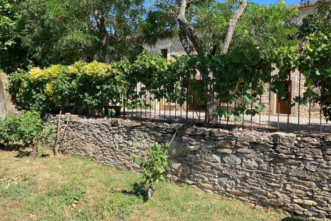 Photo of Others in Villegly