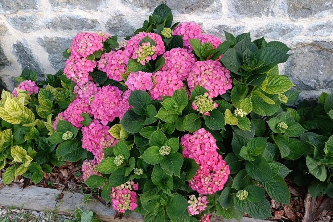 Photo of Outdoor in Darbonnay