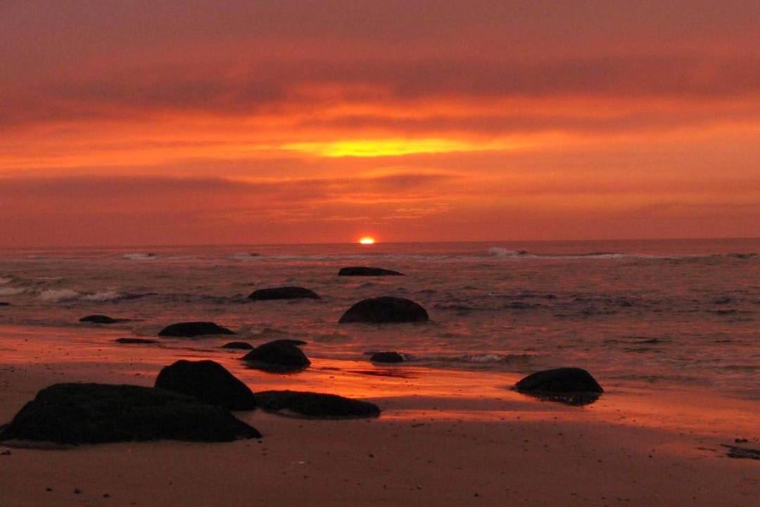 Photo of Others in Hirtshals