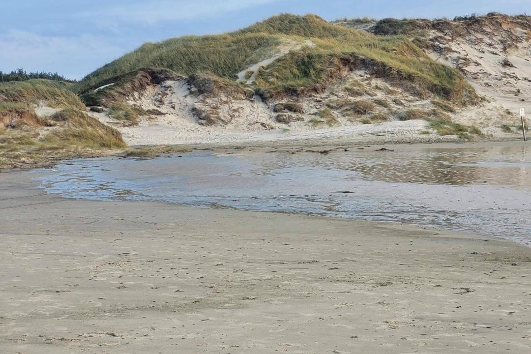 Photo of Others in Hirtshals