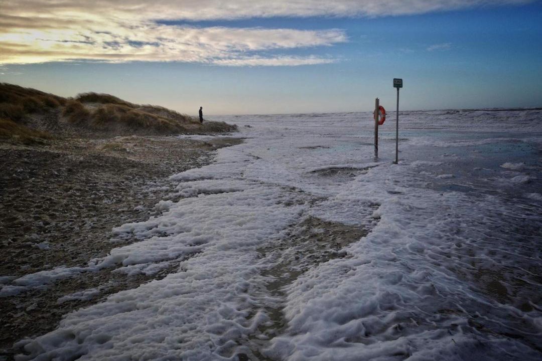 Photo of Others in Hirtshals