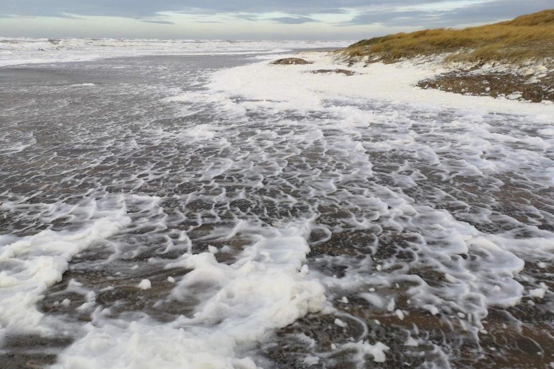Photo of Others in Hirtshals