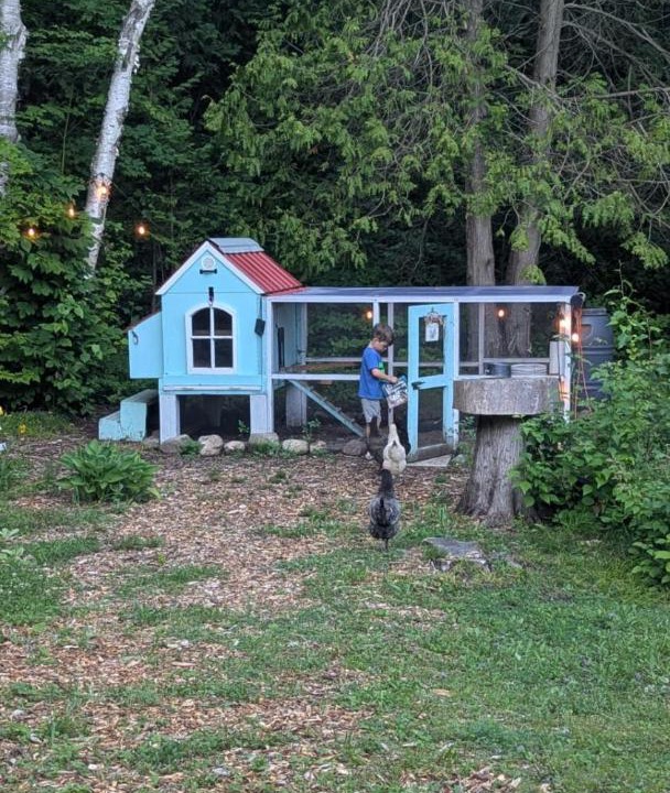 Photo of Others in South Bruce Peninsula