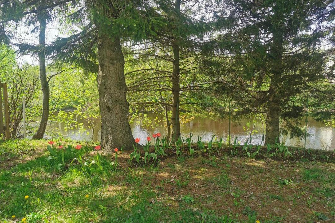 Photo of Others in Saint-Etienne-de-Lauzon