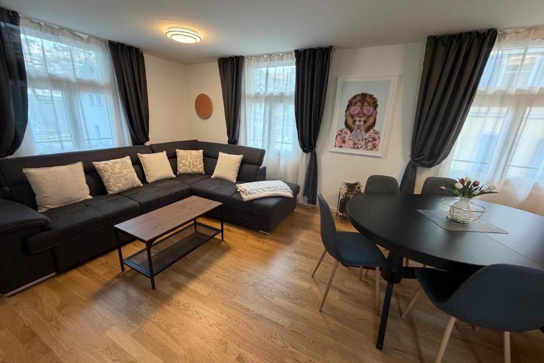 Photo of Livingroom in Lucerne
