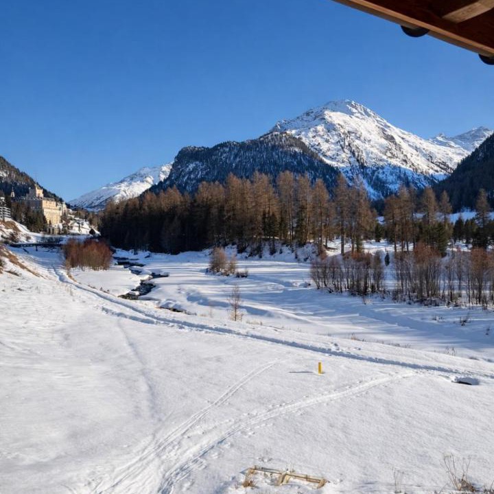 Photo of Others in Pontresina