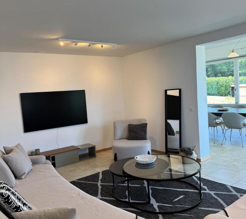 Photo of Livingroom in Versoix