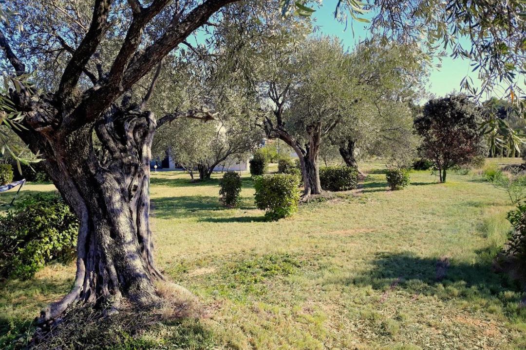 Photo of Others in Tourouzelle