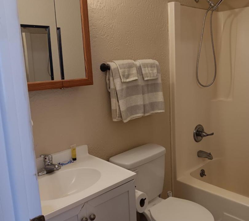 Photo of Bathroom in Waterloo Township