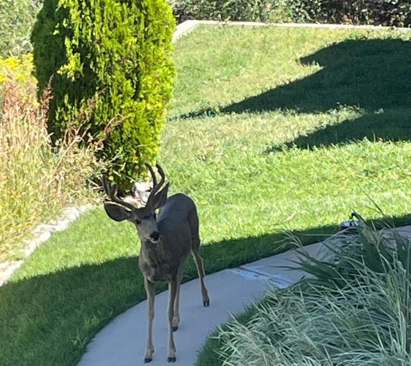 Photo of Others in Lakewood