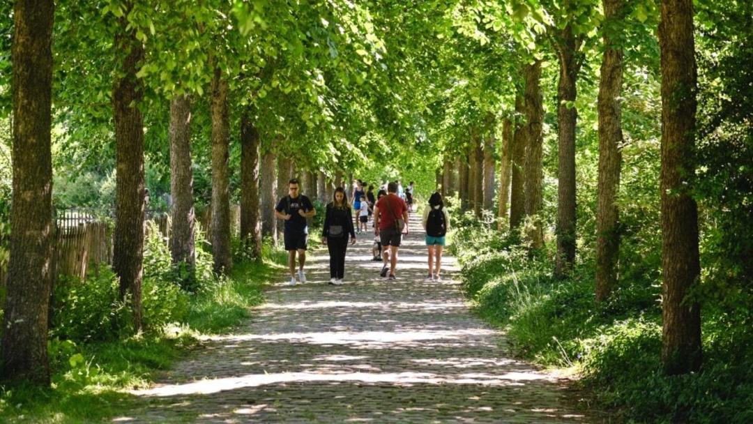 Photo of Others in Billancourt–Rives de Seine