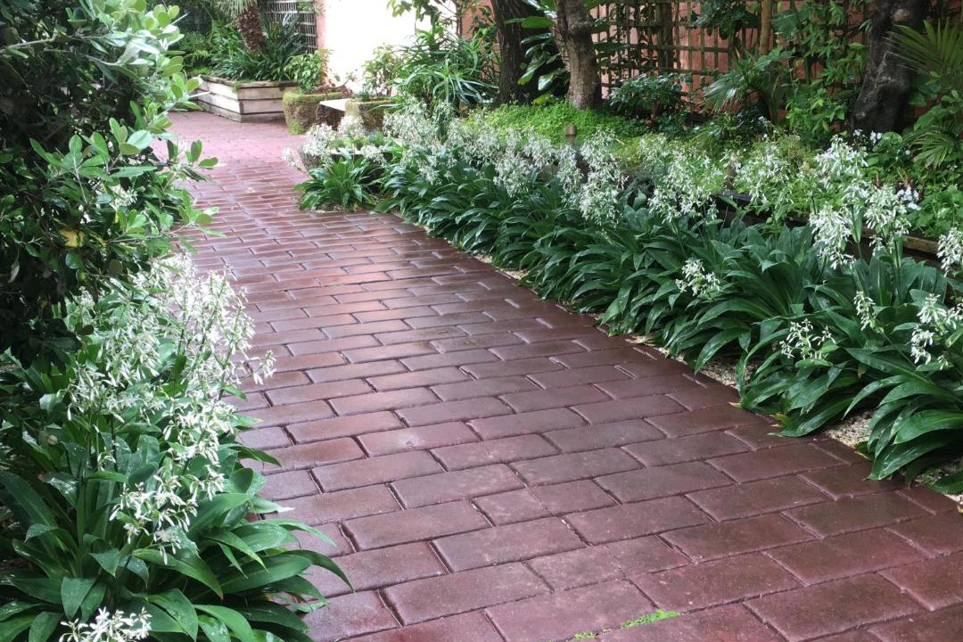 Photo of Others in Orewa