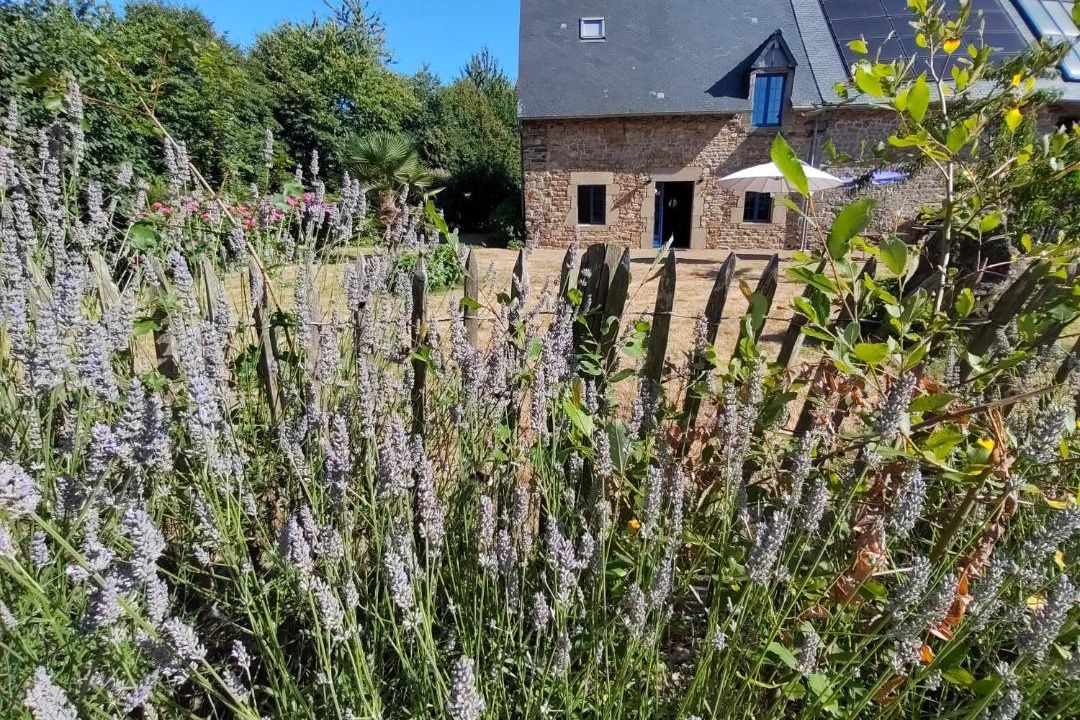 Photo of Others in Trans-la-Foret