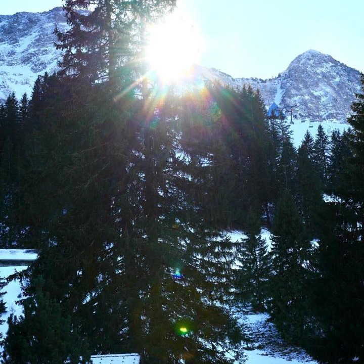 Photo of Others in Giswil